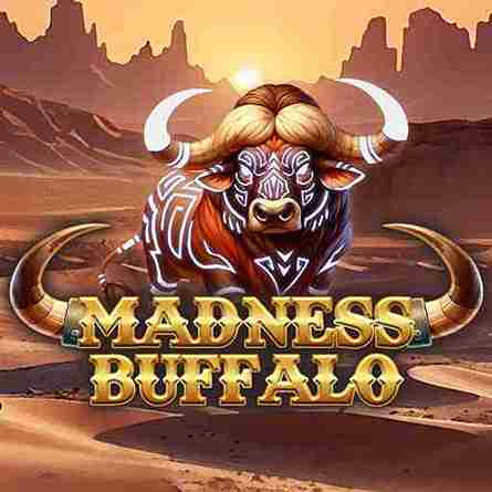 Madness Buffalo - pavillion88a